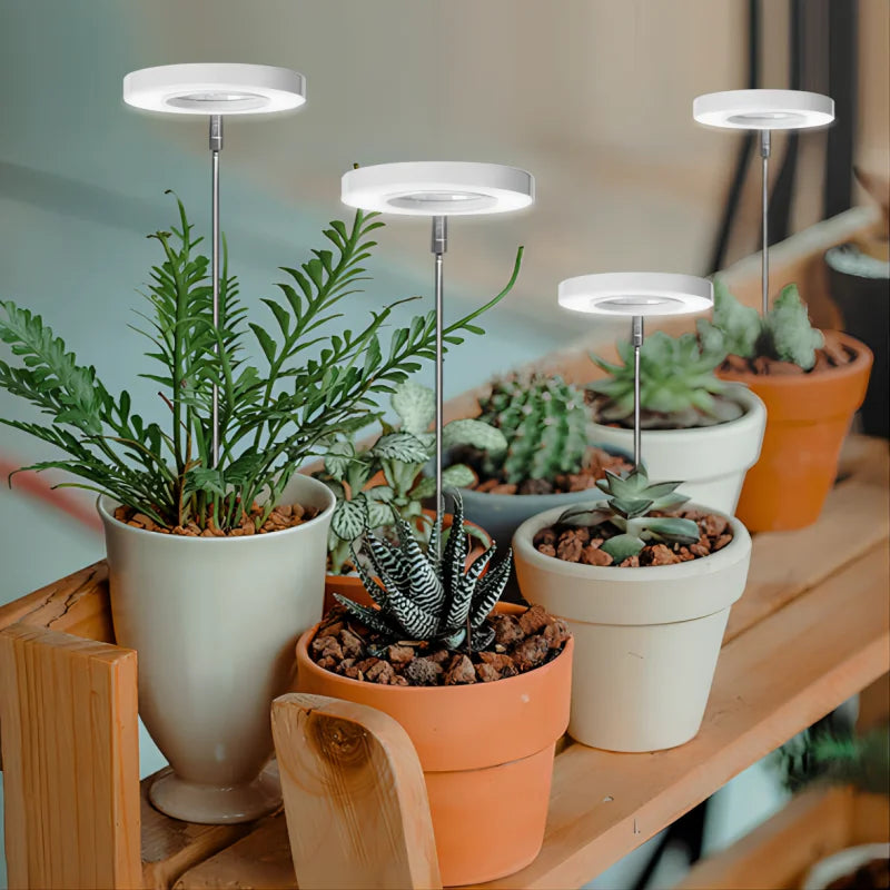 LED Indoor Angel Ring Plant Growth Light 2/4/8H On/Off Timer USB 5V Retractable Height Full Spectrum Simulated Sunlight Plant